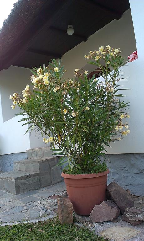 Country House Balaton Paloznak Exterior photo