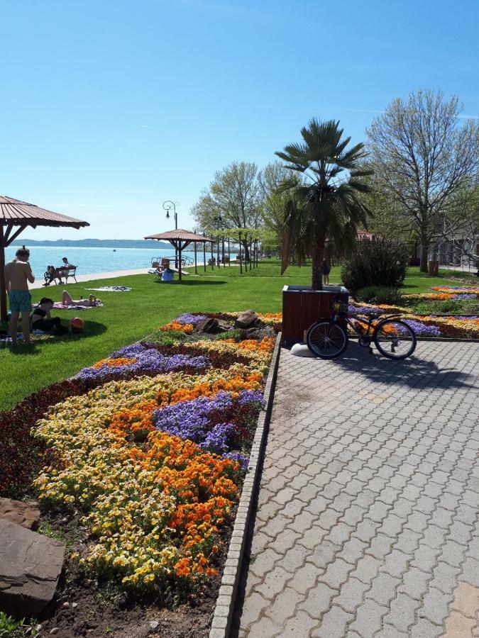 Country House Balaton Paloznak Exterior photo